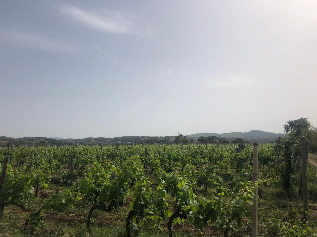 Agriturismo Donna Germana Ciro Marina Ngoại thất bức ảnh